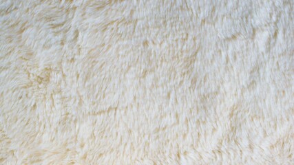 Beautiful abstract close-up white fur background texture