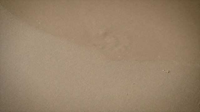 Closeup footage of sea waves wahing off human footprint on golden sand at ocean beach. Freedom lifestyle and traveling in holiday concept