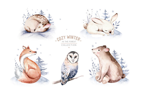 Watercolor winter forest animals deer with fawn, owl rabbits, bear birds on white background. Wild forest fox and squirrel animals set. Hand painted winter illustration