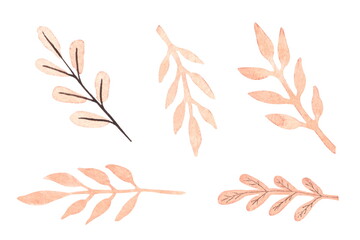 A collection of autumn orange leaves. A set of hand drawn watercolor clipart elements.