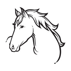 horse line art, vector illustration