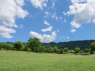 Fototapeta na wymiar Midsummer sky, green trees and meadows, and crisp blue skies.