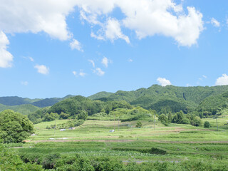 Asia, rural village in midsummer, crisp and beautiful scenery surrounded by blue sky and forest