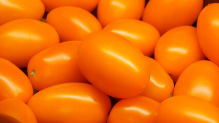 Close-up of many ripe orange tomatoes