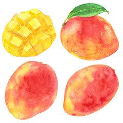 マンゴー素材集　アップルマンゴー　カットフルーツ　葉　水彩画