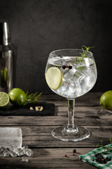 Cold glass of gin tonic with ice on dark rustic background with copy space. Vertical format.