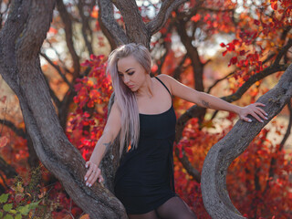 woman in autumn park - 520972809