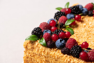 Delicious cake with wild berries on a background.