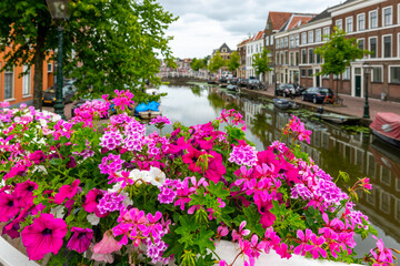 Fototapeta na wymiar Blooming flowers in front of beautiful ancient houses and the channel of Haarlem.