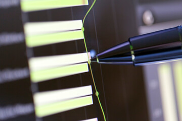 Examining a Detailed Business Graph on Computer Screen