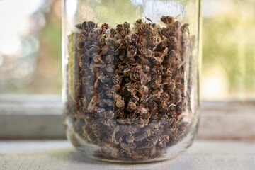 The bodies of dead honey bees are collected and poured into a jar for medicinal use. Use of...