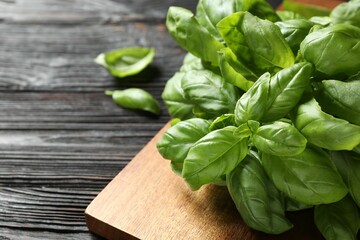 Fresh green basil on black wooden table, closeup