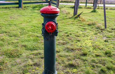 fire hydrant in grass