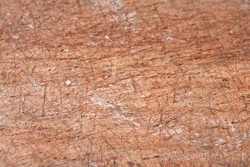 In selective focus a rough skin pattern of brown wood for background backdrop 