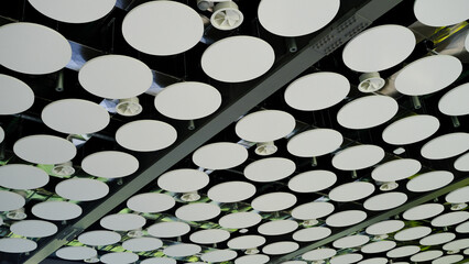 ceiling structure. circular shapes. conference room