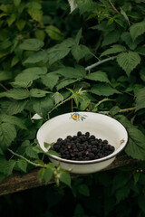 iron plate with blackberries. stand in the garden near the house