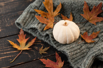 Autumn composition. Knitted grey plaid or scarf, fallen leaves and pumpkin on dark wood background. Hello Autumn, Cozy atmosphere. Flat lay, copy space.