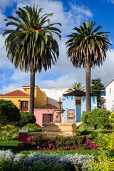 Fototapeta na wymiar Colorful flowers and palm trees garden at Orotava, Tenerife, Canary Islands, Spain