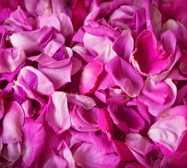 Natural background of rose petals