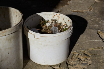 Plastic white bucket with garbage on the street.