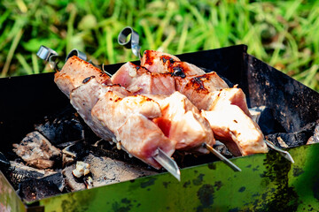 Burnt pork skewers on iron grill, outdoors, close-up, over real charcoal.