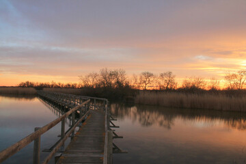 Fototapeta premium Wooden pontoon in the marshes of Candillargues pond in the south of Montpellier 
