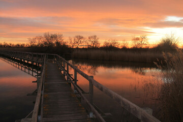 Obraz premium Wooden pontoon in the marshes of Candillargues pond in the south of Montpellier 