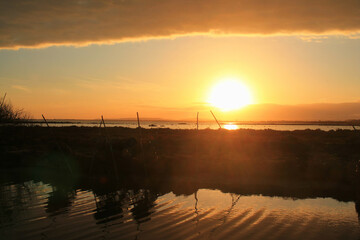 Obraz premium Etang de l'or, natural lagoon near Montpellier in Languedoc Roussillon, Occitanie, France 