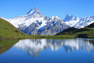 Naklejka na ściany i meble The famous Bachalpsee, a wonderful mountain lake in Grindelwald, Switzeland 