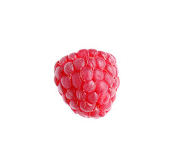 One fresh ripe raspberry isolated on white