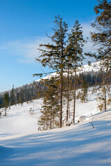 Joyful in the winter mountains on a sunny day for active recreation and walks