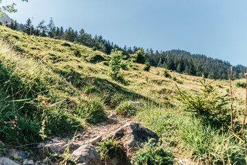 Wandern