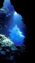 Underwater photo from a scuba dive inside caves and tunnels with rays of light. Beautiful scenery...