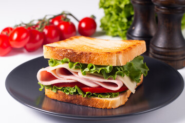 Close-up photo of an American club sandwich. Fast food concept. 