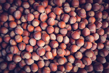 Full frame of Hazelnuts. Corylus-avellana