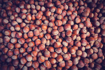 Full frame of Hazelnuts. Corylus-avellana