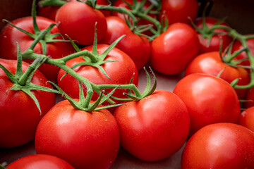 organic tomato closeup vegetable background Top view
