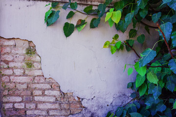 Wall the style vintage white background of old cement brick texture has orange red many horizontal block which are beautiful.