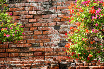 brick wall and flowers