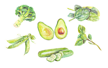 Watercolor set of green vegetables: broccoli, avocado, cucumber, basil, spinach, peas. Illustration for menu, recipes, cookbook and food blogs