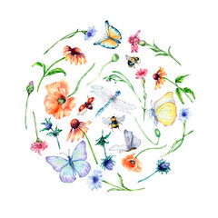 Circle set of meadow colorful flowers and butterflies watercolor illustration isolated