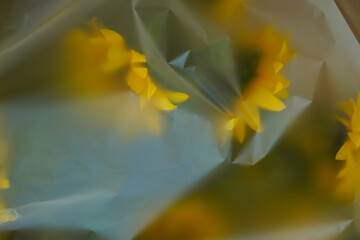 Dark abstract composition with sunflower flowers