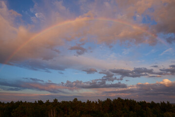 Fototapeta na wymiar Ein Regenbogen in der Abendsonne 