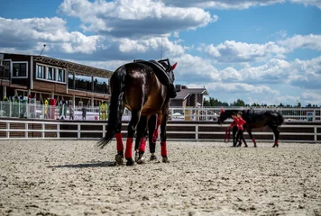 Schilderijen op glas girl equestrian Aktobat walks a horse in training before a performance © константин константи