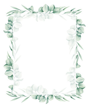 Watercolor illustration card with eucalyptus frame and white square. Isolated on white background. Hand drawn clipart. Perfect for card, postcard, tags, invitation, printing, wrapping.