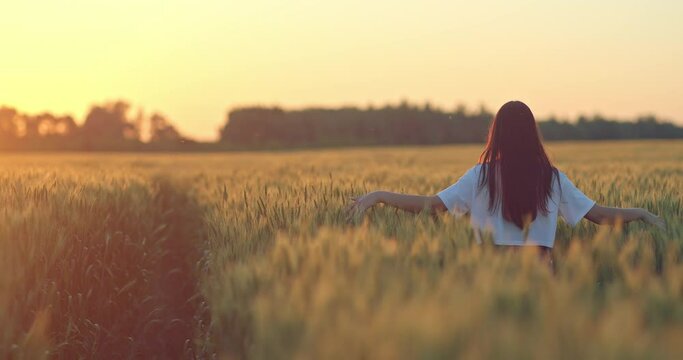 youg brunette woman is admiring beautiful sunrise in rye field, rear view, 4K, Prores