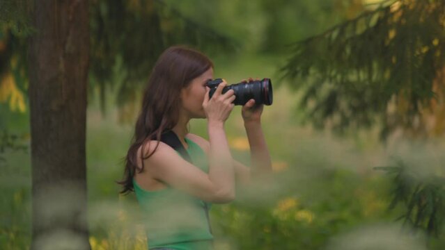 Female photographer holding camera taking pictures of nature walking in woodland during travelling. Handheld video.