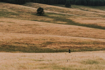 Unrecognizable jogger running through grass valley at Zlatibor region, famous tourist resort for...