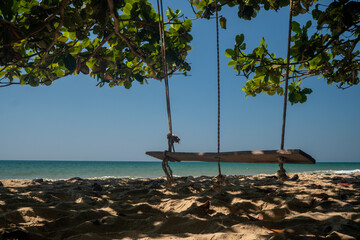 Rope Swing wooden plate on the Beach under the trees