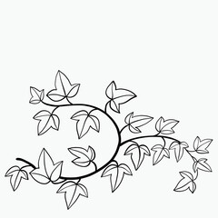 Simplicity ivy freehand drawing flat design.